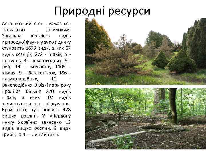 Природні ресурси Асканійський степ вважається типчаково — ковиловим. Загальна кількість видів природної фауни у