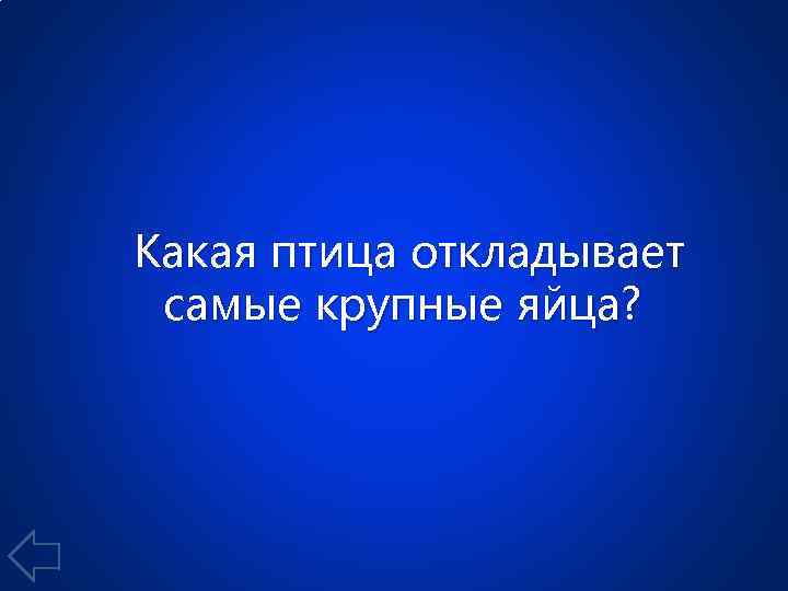 Какая птица откладывает самые крупные яйца? 