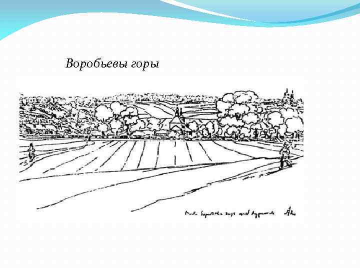 Воробьевы горы 