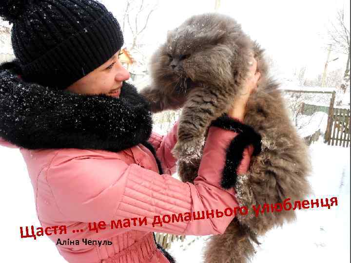 Ща юбленця нього ул ш ати дома стя … це м Аліна Чепуль 