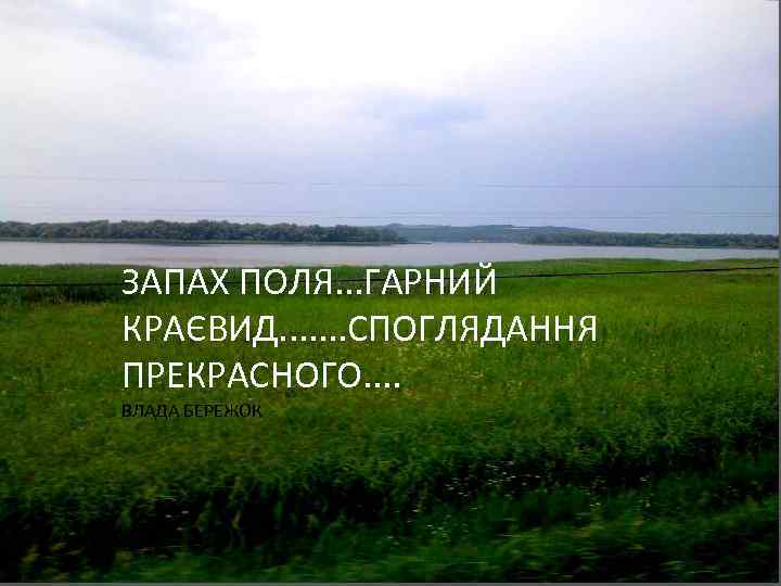 ЗАПАХ ПОЛЯ. . . ГАРНИЙ КРАЄВИД. . . . СПОГЛЯДАННЯ ПРЕКРАСНОГО. . ВЛАДА БЕРЕЖОК