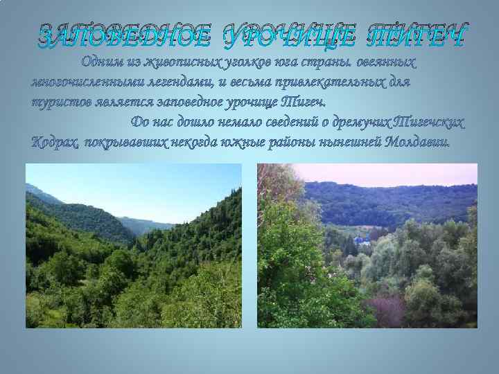 ЗАПОВЕДНОЕ УРОЧИЩЕ ТИГЕЧ Одним из живописных уголков юга страны. овеянных многочисленными легендами, и весьма