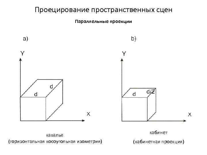 Состояние проекции. Матрица косоугольной проекции. Кабинетная проекция. Проекция Кавалье. Свободная проекция.