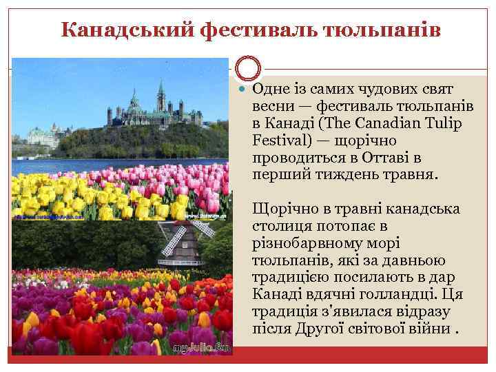 Канадський фестиваль тюльпанів Одне із самих чудових свят весни — фестиваль тюльпанів в Канаді