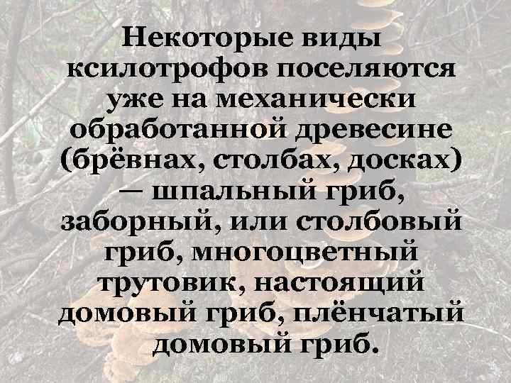 Некоторые виды ксилотрофов поселяются уже на механически обработанной древесине (брёвнах, столбах, досках) — шпальный