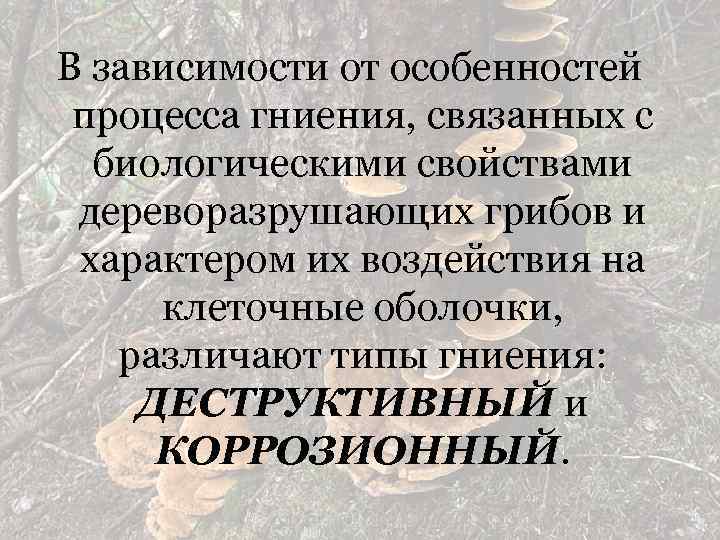 В зависимости от особенностей процесса гниения, связанных с биологическими свойствами дереворазрушающих грибов и характером