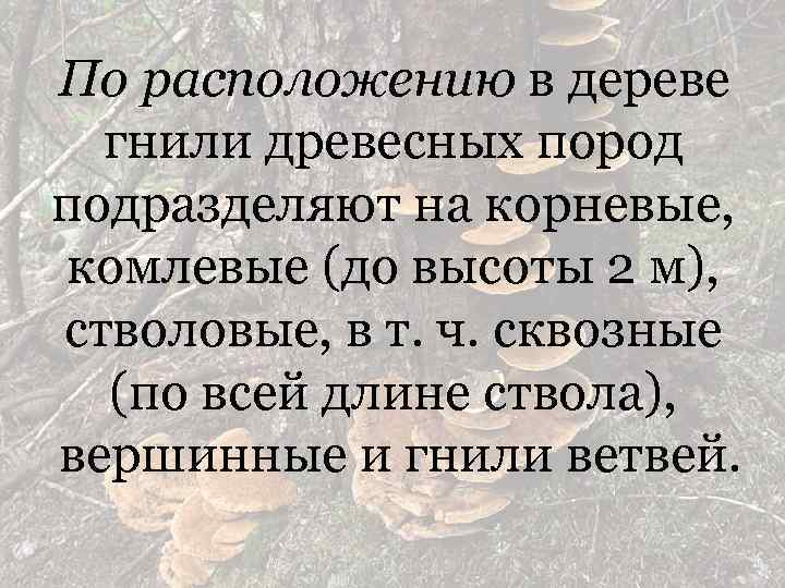 По расположению в дереве гнили древесных пород подразделяют на корневые, комлевые (до высоты 2