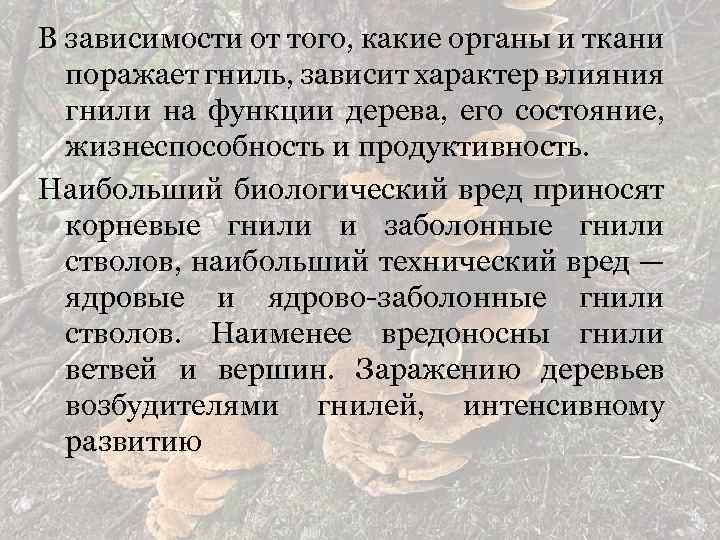 В зависимости от того, какие органы и ткани поражает гниль, зависит характер влияния гнили