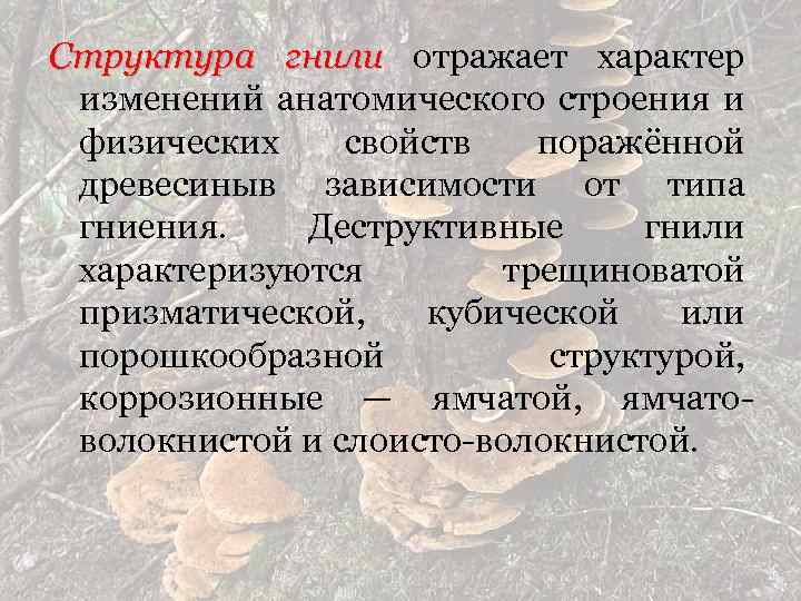 Структура гнили отражает характер изменений анатомического строения и физических свойств поражённой древесиныв зависимости от