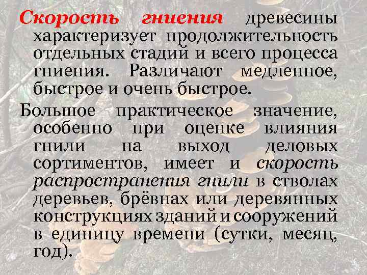 Скорость гниения древесины характеризует продолжительность отдельных стадий и всего процесса гниения. Различают медленное, быстрое