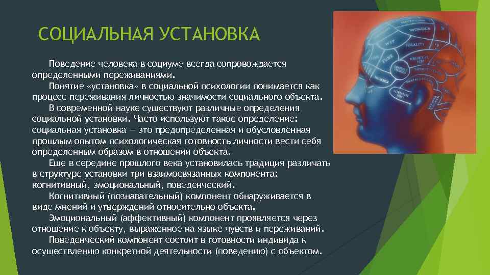 Социальная установка поведение