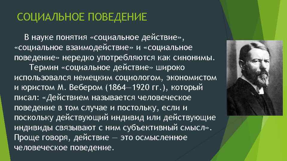 Социальное поведение человека. Социальное поведение Автор термина. Социальное действие термин. Социальное действие и поведение. Социальное поведение представитель.