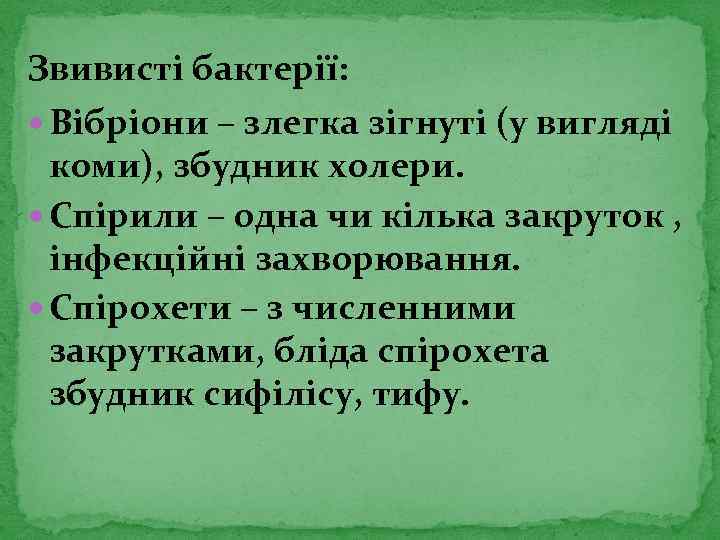 Звивисті бактерії: Вібріони – злегка зігнуті (у вигляді коми), збудник холери. Спірили – одна