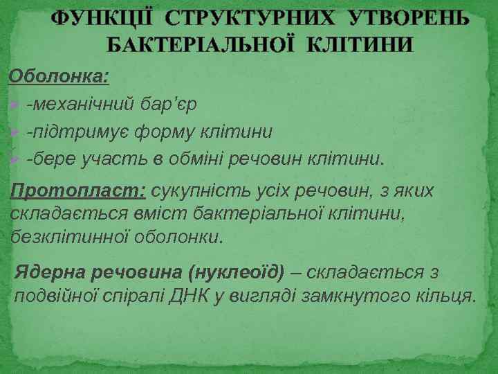 ФУНКЦІЇ СТРУКТУРНИХ УТВОРЕНЬ БАКТЕРІАЛЬНОЇ КЛІТИНИ Оболонка: Ø -механічний бар’єр Ø -підтримує форму клітини Ø