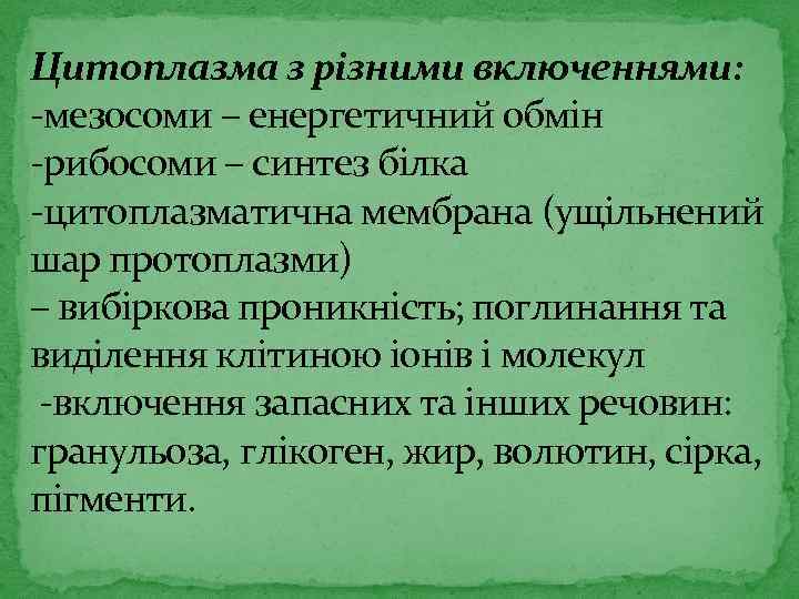 Цитоплазма з різними включеннями: -мезосоми – енергетичний обмін -рибосоми – синтез білка -цитоплазматична мембрана