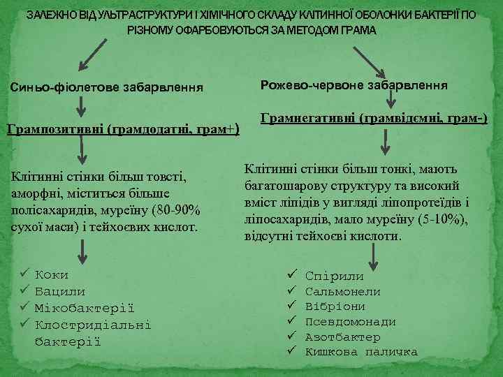 ЗАЛЕЖНО ВІД УЛЬТРАСТРУКТУРИ І ХІМІЧНОГО СКЛАДУ КЛІТИННОЇ ОБОЛОНКИ БАКТЕРІЇ ПО РІЗНОМУ ОФАРБОВУЮТЬСЯ ЗА МЕТОДОМ