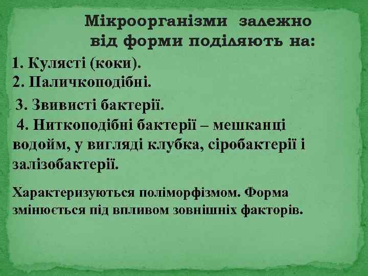 Мікроорганізми залежно від форми поділяють на: 1. Кулясті (коки). 2. Паличкоподібні. 3. Звивисті бактерії.