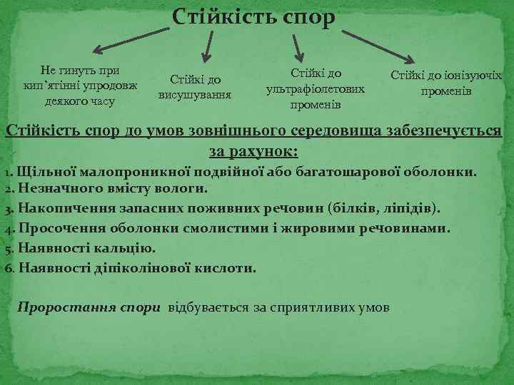 Стійкість спор Не гинуть при кип’ятінні упродовж деякого часу Стійкі до висушування Стійкі до