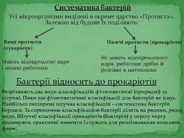 Систематика бактерій Усі мікроорганізми виділені в окреме царство «Протиста» . Залежно від будови їх