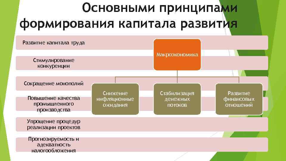 Основные принципы развития