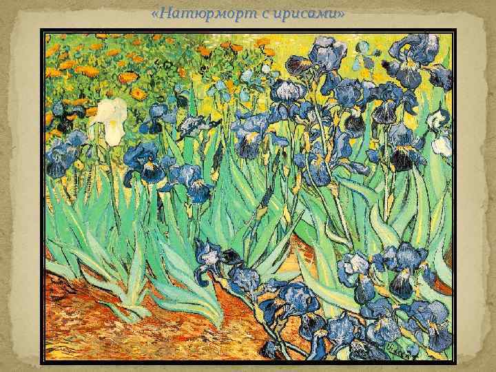  «Натюрморт с ирисами» 