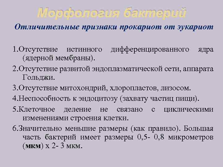 Морфология бактерий Отличительные признаки прокариот от эукариот 1. Отсутствие истинного дифференцированного ядра (ядерной мембраны).