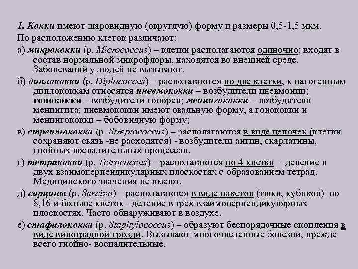 1. Кокки имеют шаровидную (округлую) форму и размеры 0, 5 -1, 5 мкм. По