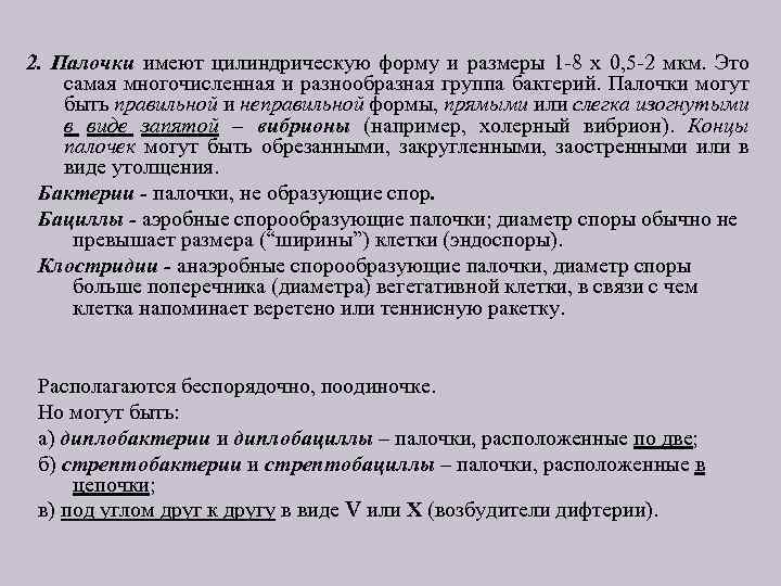 2. Палочки имеют цилиндрическую форму и размеры 1 -8 х 0, 5 -2 мкм.