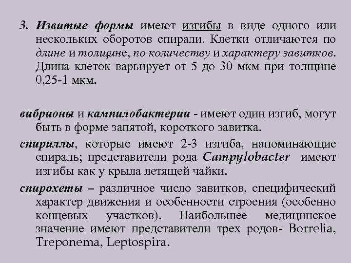 3. Извитые формы имеют изгибы в виде одного или нескольких оборотов спирали. Клетки отличаются