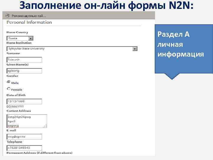 Заполнение он-лайн формы N 2 N: Раздел А личная информация 