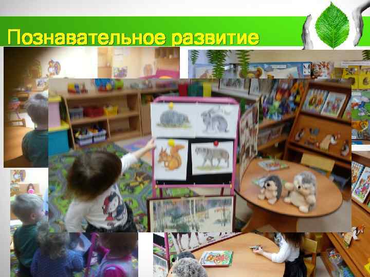 Познавательное развитие 