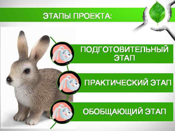 ЭТАПЫ ПРОЕКТА: ПОДГОТОВИТЕЛЬНЫЙ ЭТАП ПРАКТИЧЕСКИЙ ЭТАП ОБОБЩАЮЩИЙ ЭТАП 