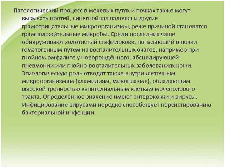 Патологический процесс в мочевых путях и почках также могут вызывать протей, синегнойная палочка и