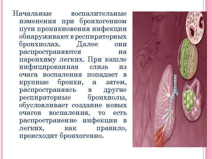 Начальные воспалительные изменения при бронхогенном пути проникновения инфекции обнаруживают в респираторных бронхиолах. Далее они