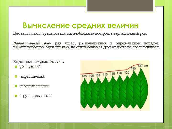 Вычисление средних величин Для вычисления средних величин необходимо построить вариационный ряд. Вариационный ряд- ряд