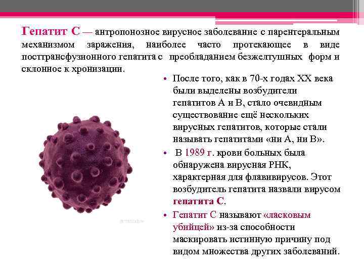 Гепатит C — антропонозное вирусное заболевание с парентеральным механизмом заражения, наиболее часто протекающее в