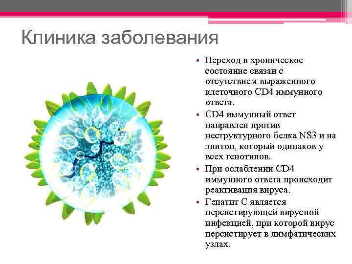 Клиника заболевания • Переход в хроническое состояние связан с отсутствием выраженного клеточного CD 4