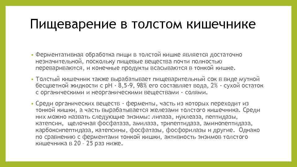 Пищеварение в толстом кишечнике • Ферментативная обработка пищи в толстой кишке является достаточно незначительной,