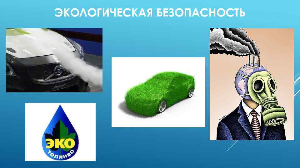 ЭКОЛОГИЧЕСКАЯ БЕЗОПАСНОСТЬ 