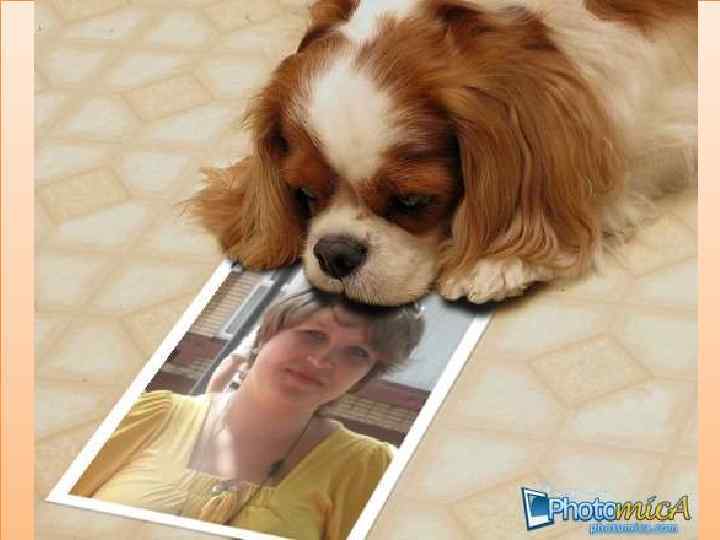 Веселый праздник наступил, А пожеланья в день весенний. Любви, весны, пусть хватит сил Еще