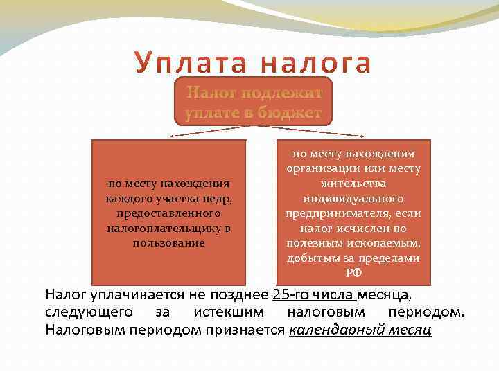 Налог подлежит уплате в бюджет по месту нахождения каждого участка недр, предоставленного налогоплательщику в