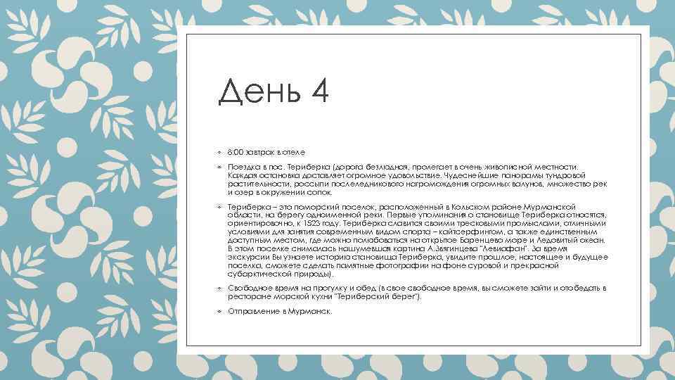 День 4 ◦ 8: 00 завтрак в отеле ◦ Поездка в пос. Териберка (дорога