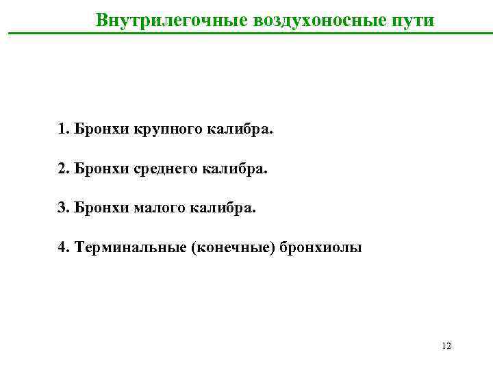 Внутрилегочные воздухоносные пути 1. Бронхи крупного калибра. 2. Бронхи среднего калибра. 3. Бронхи малого