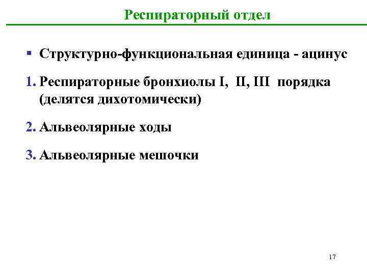 Респираторный отдел § Структурно-функциональная единица - ацинус 1. Респираторные бронхиолы I, III порядка (делятся