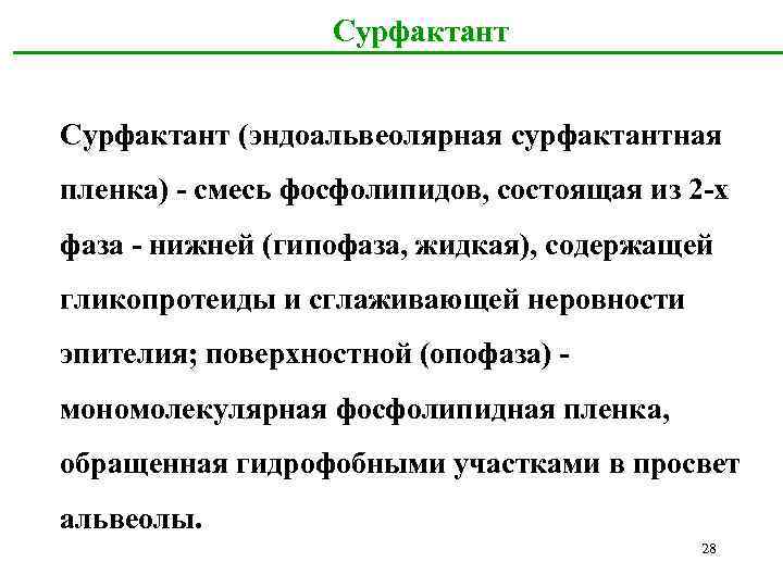 Сурфактант (эндоальвеолярная сурфактантная пленка) - смесь фосфолипидов, состоящая из 2 -х фаза - нижней