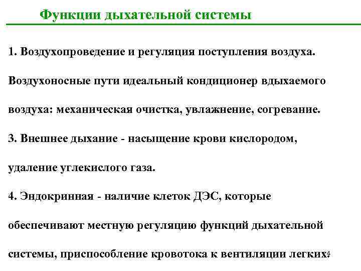 Функции дыхательной системы 1. Воздухопроведение и регуляция поступления воздуха. Воздухоносные пути идеальный кондиционер вдыхаемого