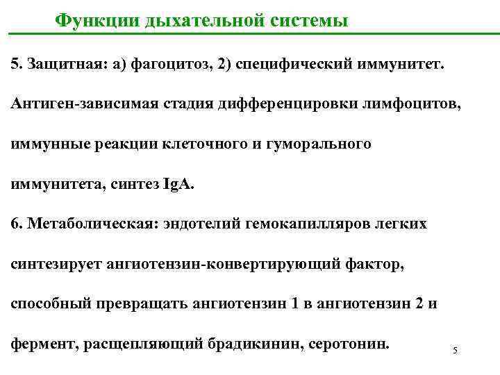 Функции дыхательной системы 5. Защитная: а) фагоцитоз, 2) специфический иммунитет. Антиген-зависимая стадия дифференцировки лимфоцитов,