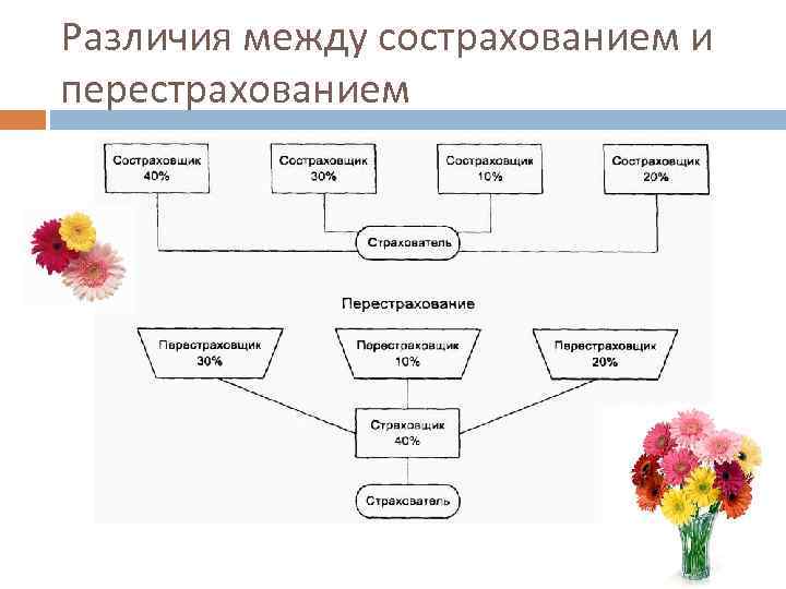 Сострахование и перестрахование презентация