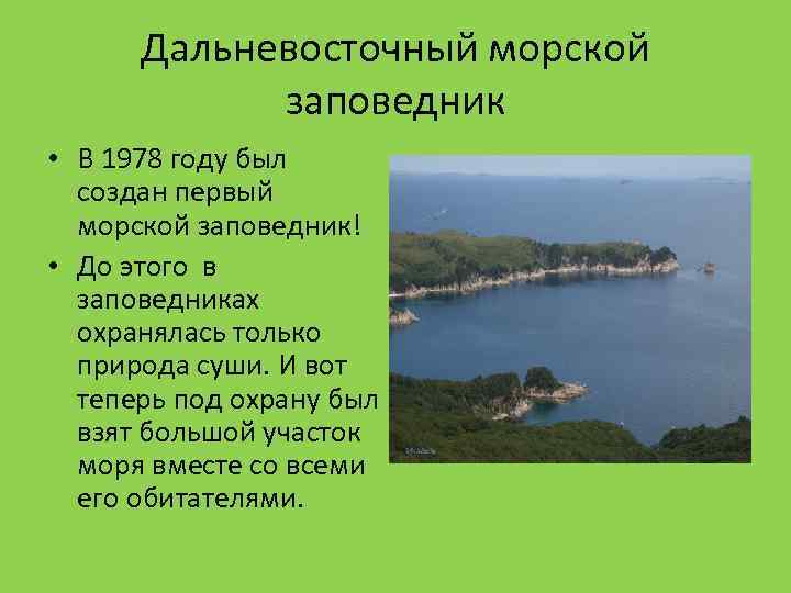Дальневосточный морской заповедник • В 1978 году был создан первый морской заповедник! • До