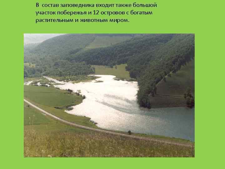 В состав заповедника входит также большой участок побережья и 12 островов с богатым растительным